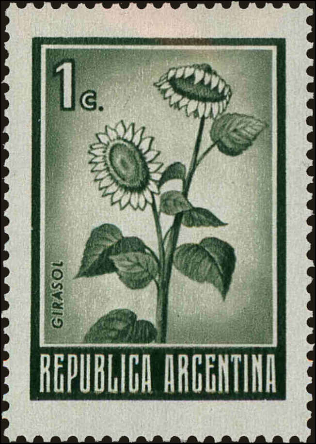 Front view of Argentina 923 collectors stamp