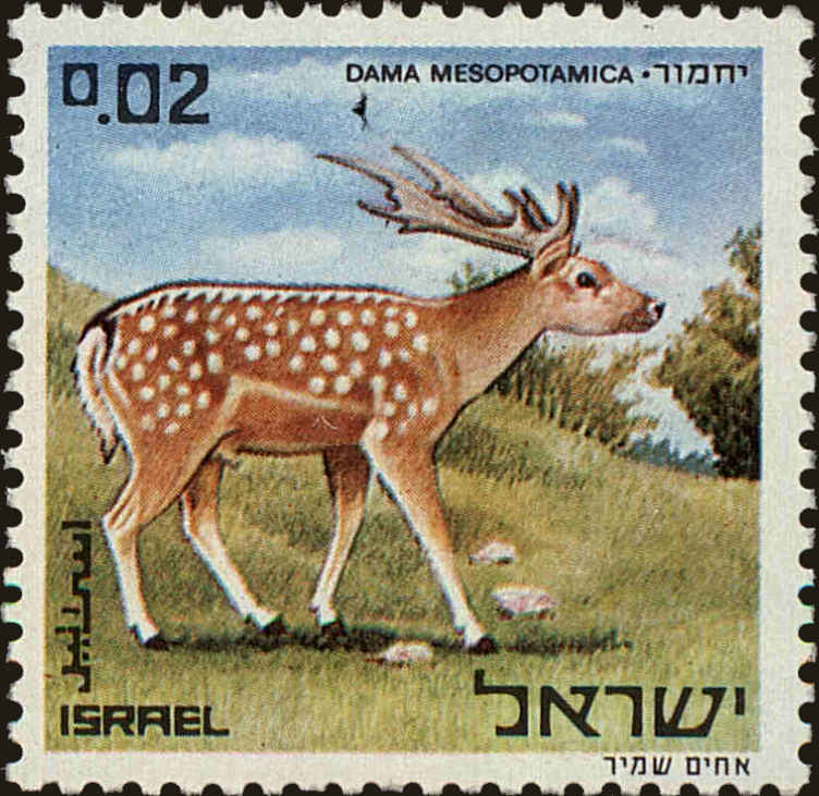 Front view of Israel 436 collectors stamp