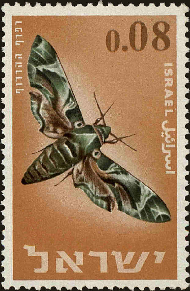 Front view of Israel 306 collectors stamp