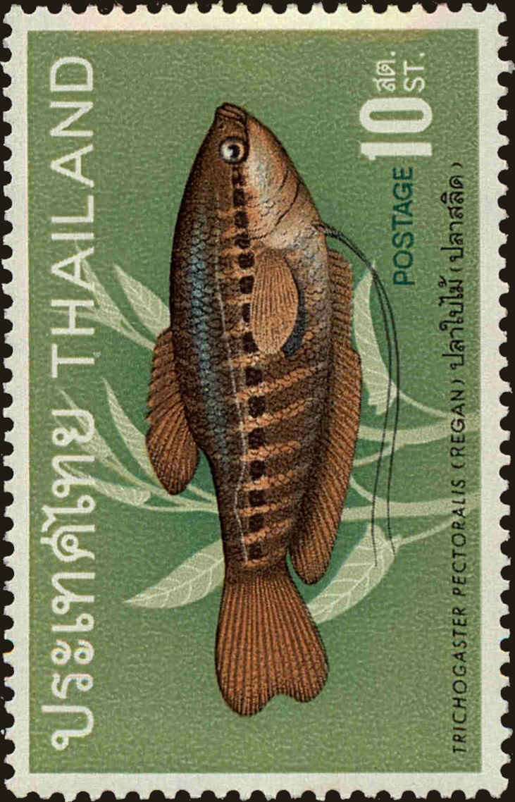 Front view of Thailand 501 collectors stamp