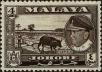 Stamp ID#299389 (1-283-6050)