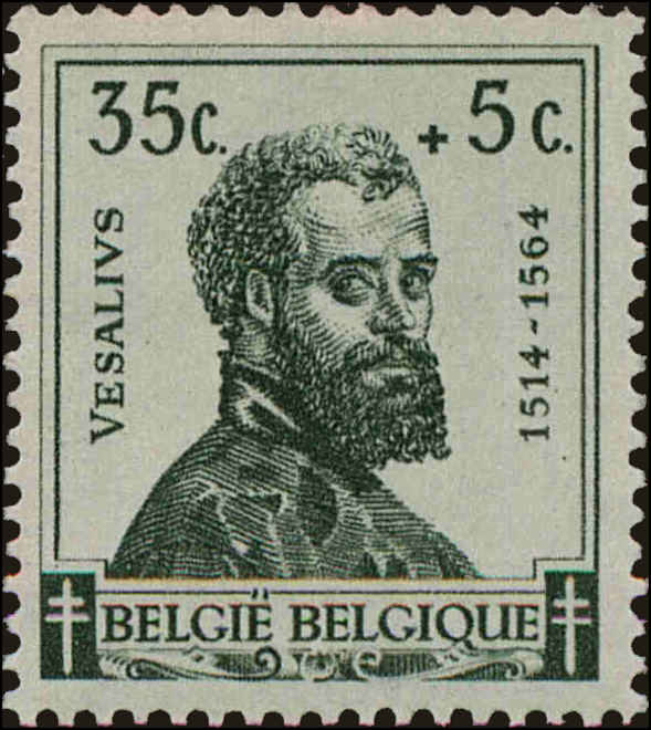Front view of Belgium B320 collectors stamp