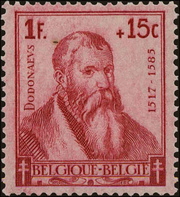 Front view of Belgium B323 collectors stamp