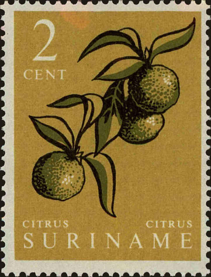 Front view of Surinam 285 collectors stamp