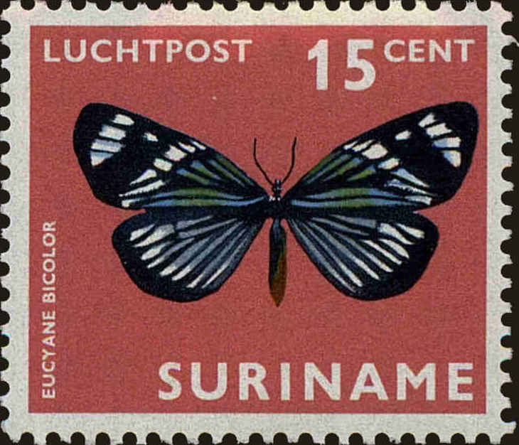 Front view of Surinam C42 collectors stamp
