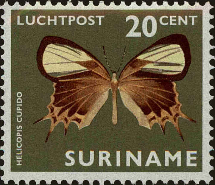 Front view of Surinam C43 collectors stamp