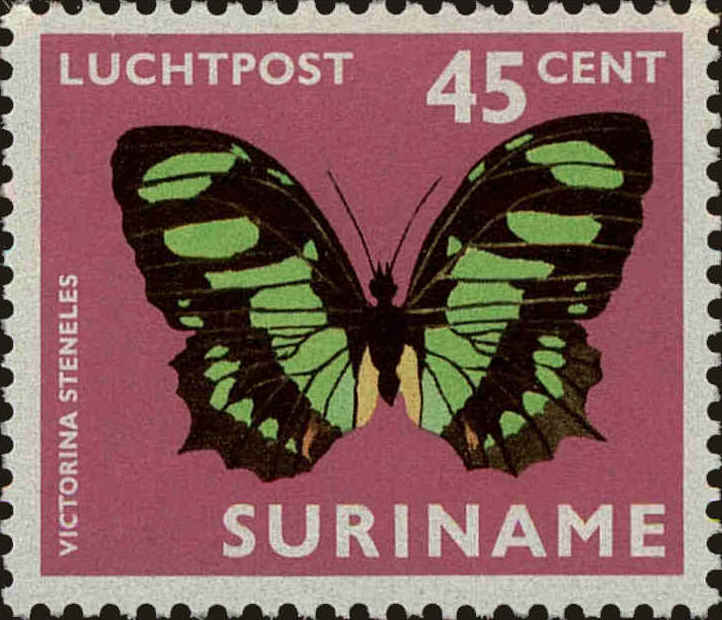 Front view of Surinam C48 collectors stamp