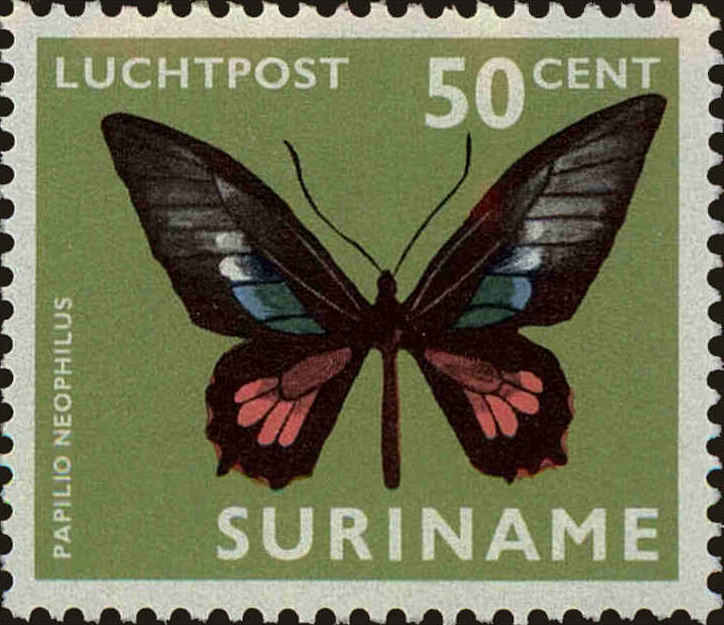 Front view of Surinam C49 collectors stamp