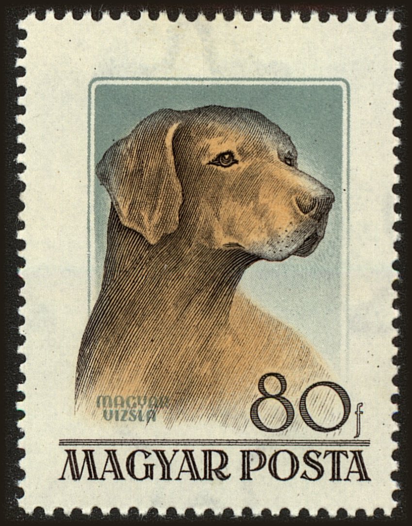 Front view of Hungary 1151 collectors stamp