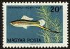 Stamp ID#61459 (1-3-1751)