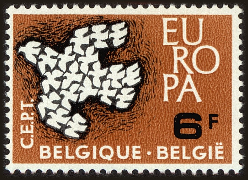 Front view of Belgium 573 collectors stamp