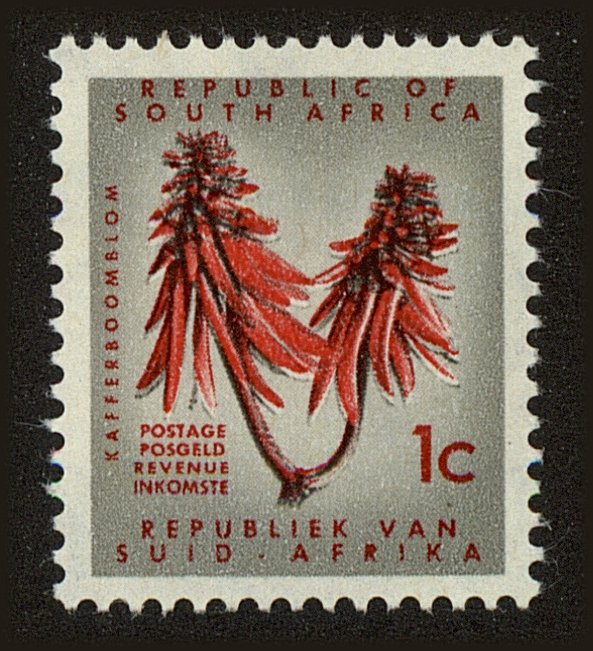 Front view of South Africa 255 collectors stamp