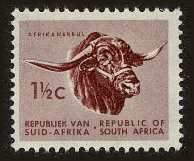 Front view of South Africa 256 collectors stamp