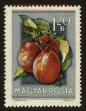 Stamp ID#64296 (1-3-4624)