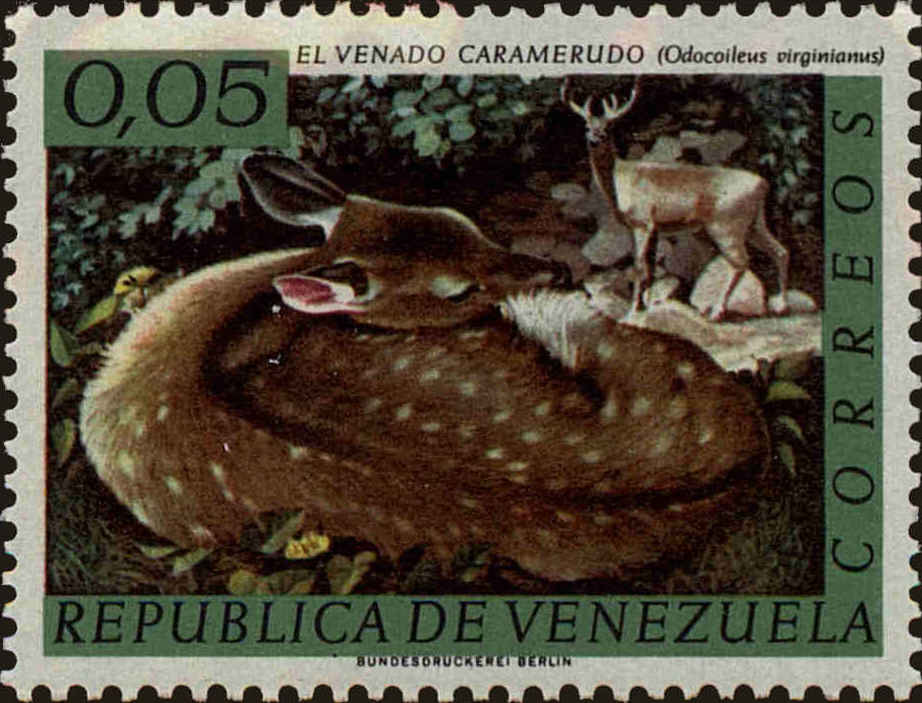 Front view of Venezuela 826 collectors stamp