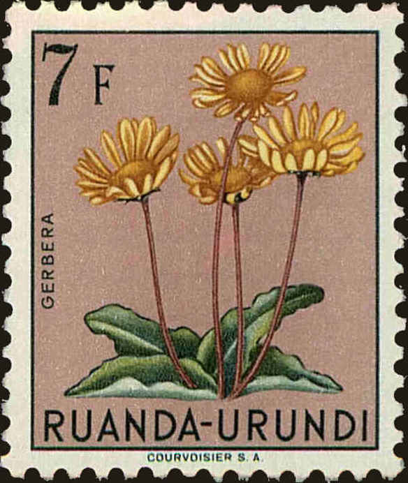 Front view of Ruanda-Urundi 129 collectors stamp