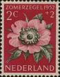 Stamp ID#256174 (1-302-704)