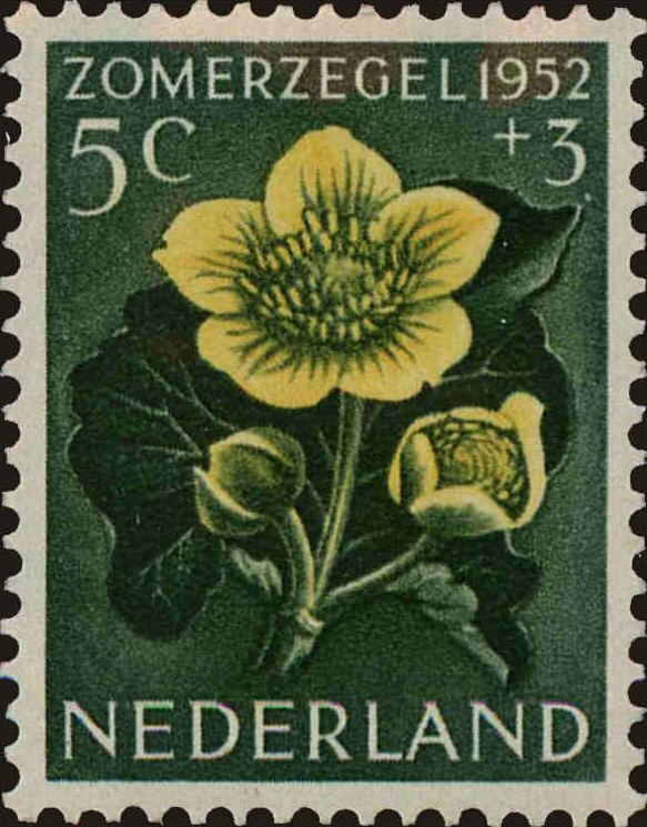 Front view of Netherlands B239 collectors stamp
