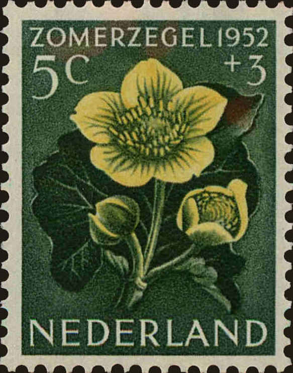 Front view of Netherlands B239 collectors stamp