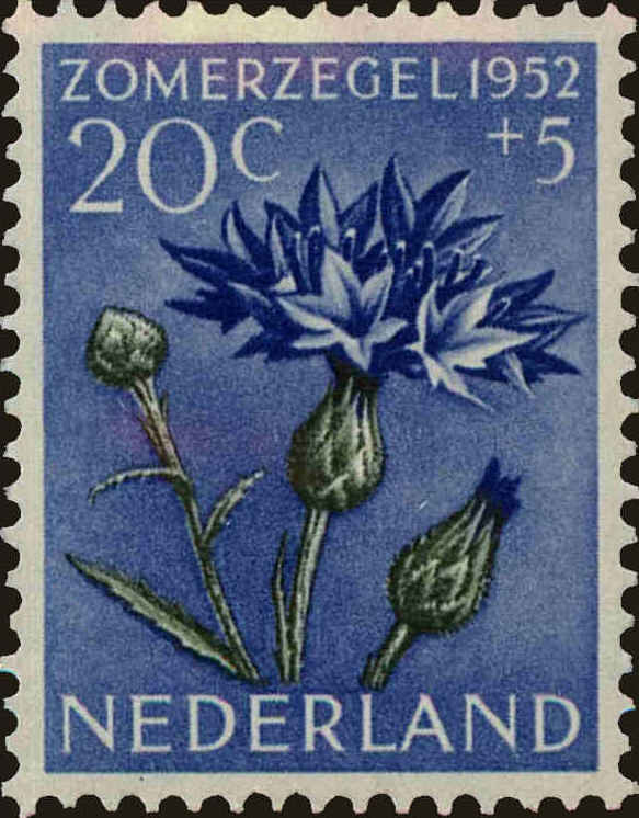 Front view of Netherlands B242 collectors stamp