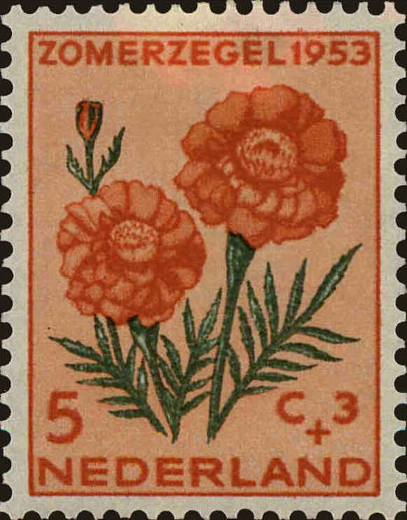 Front view of Netherlands B250 collectors stamp