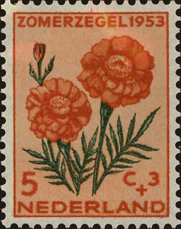 Front view of Netherlands B250 collectors stamp