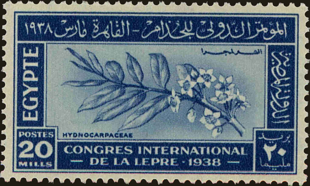 Front view of Egypt (Kingdom) 233 collectors stamp