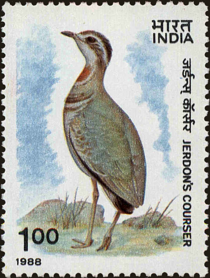 Front view of India 1244 collectors stamp
