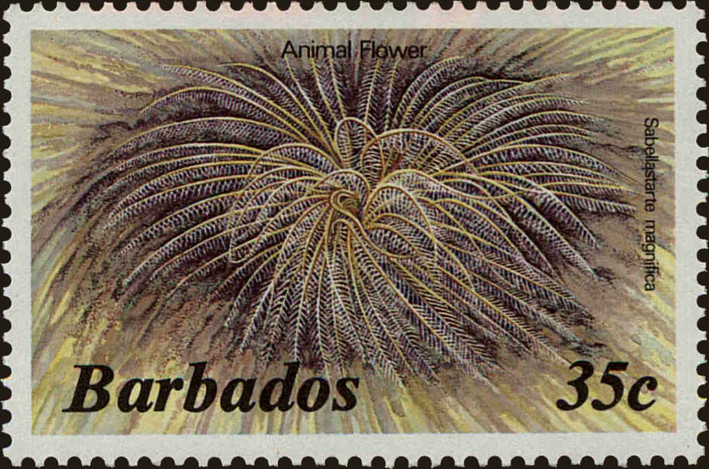 Front view of Barbados 648 collectors stamp