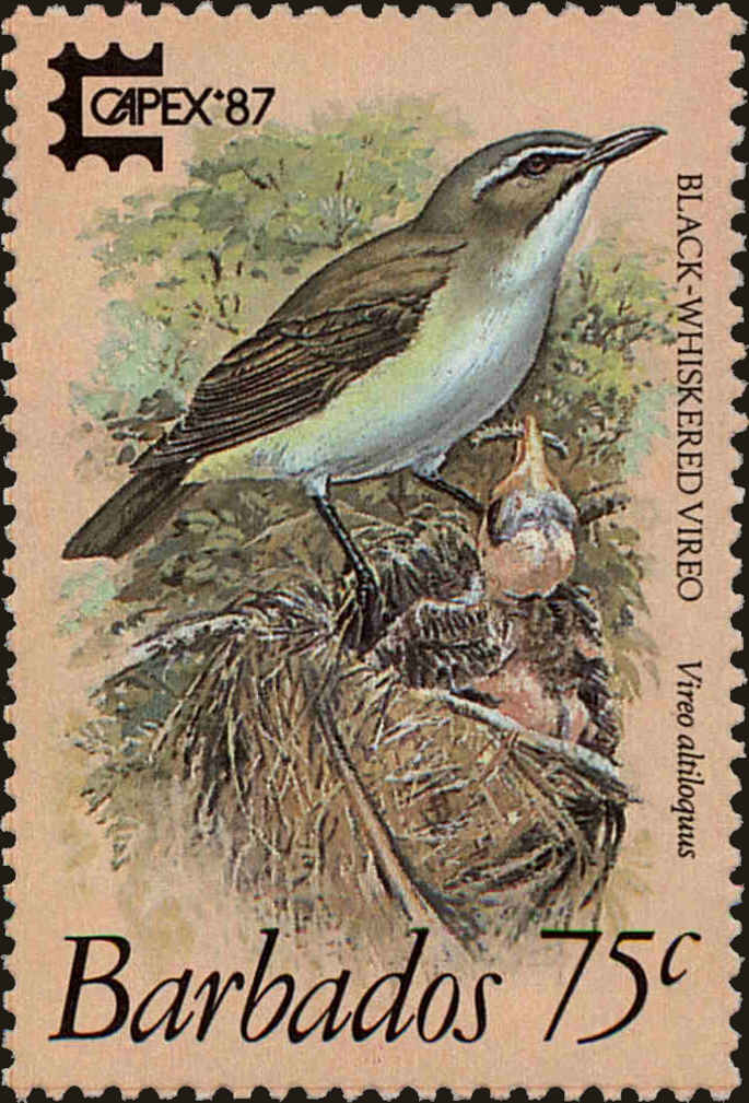 Front view of Barbados 704 collectors stamp