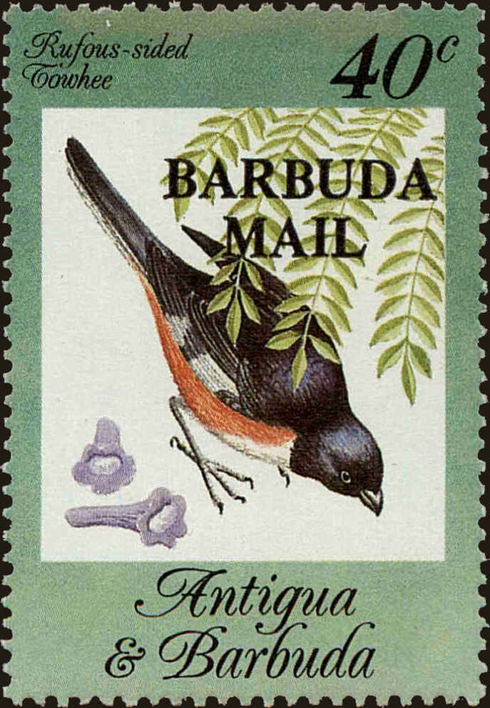 Front view of Barbuda 659 collectors stamp