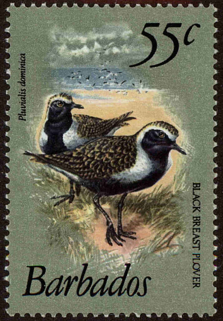 Front view of Barbados 506A collectors stamp