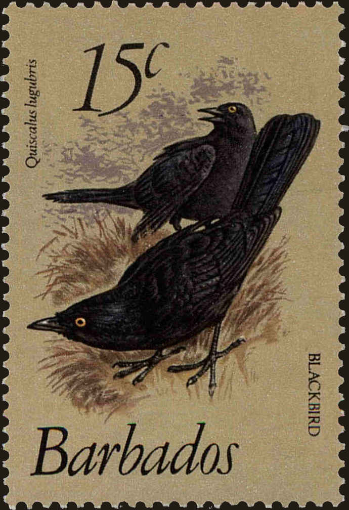 Front view of Barbados 570 collectors stamp