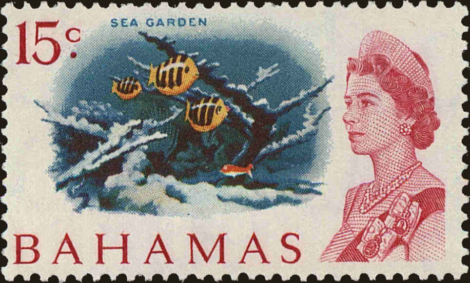 Front view of Bahamas 213 collectors stamp