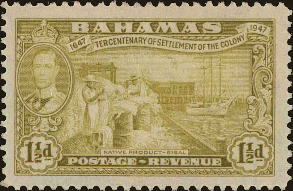 Front view of Bahamas 134 collectors stamp