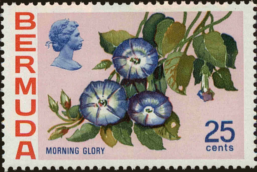 Front view of Bermuda 324 collectors stamp