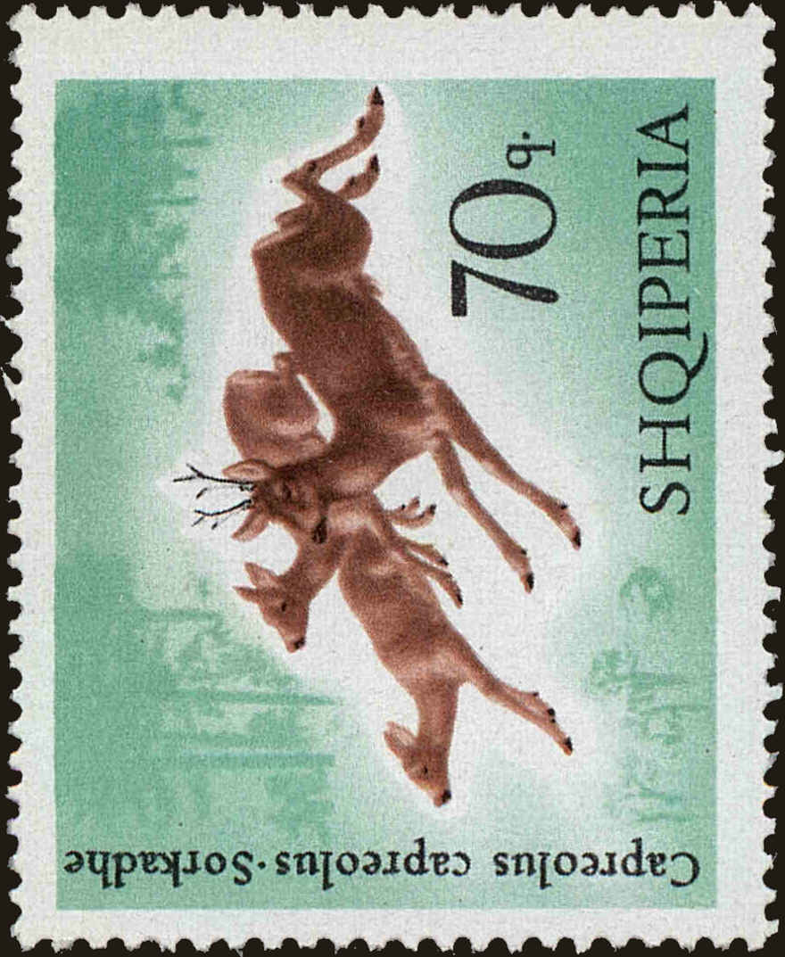 Front view of Albania 1050 collectors stamp