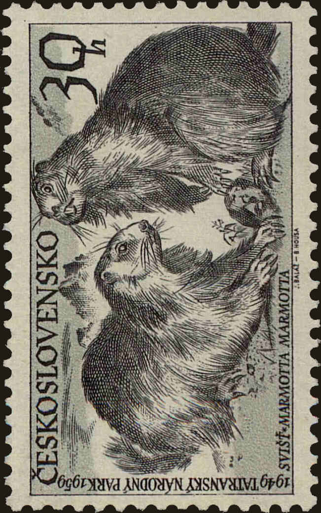 Front view of Czechia 933 collectors stamp