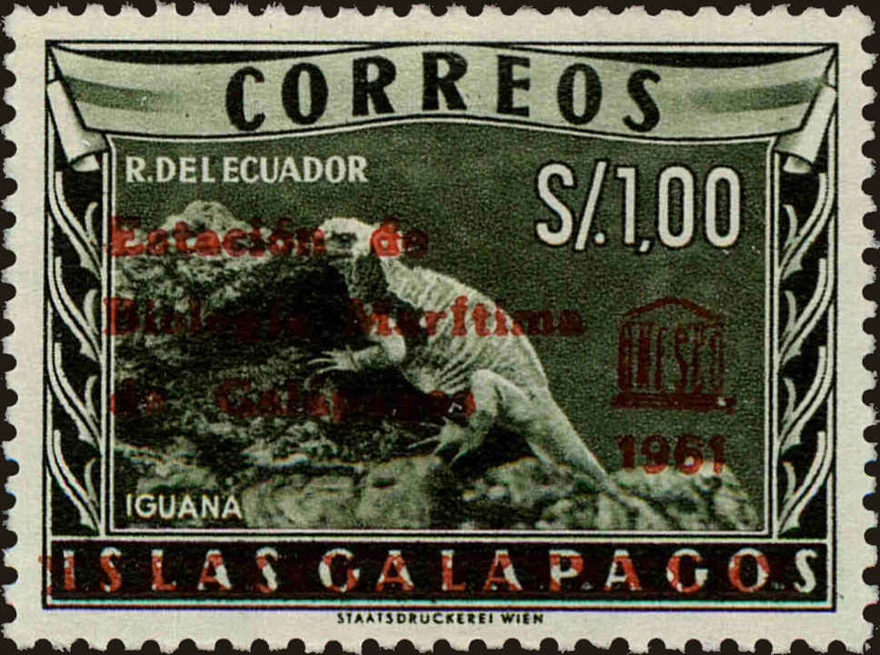 Front view of Ecuador 686 collectors stamp