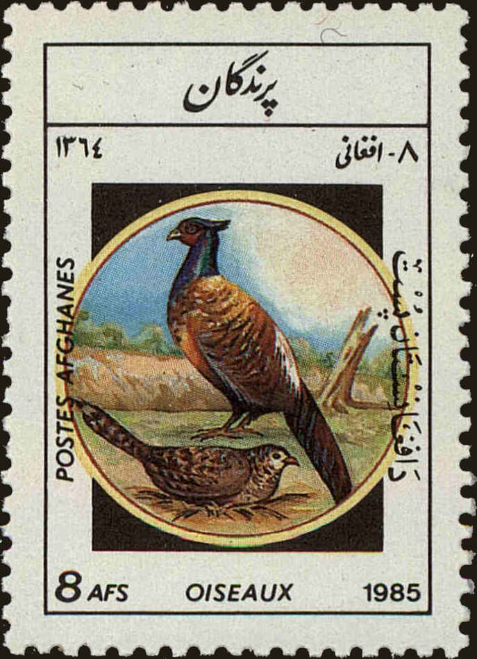 Front view of Afghanistan 1160 collectors stamp