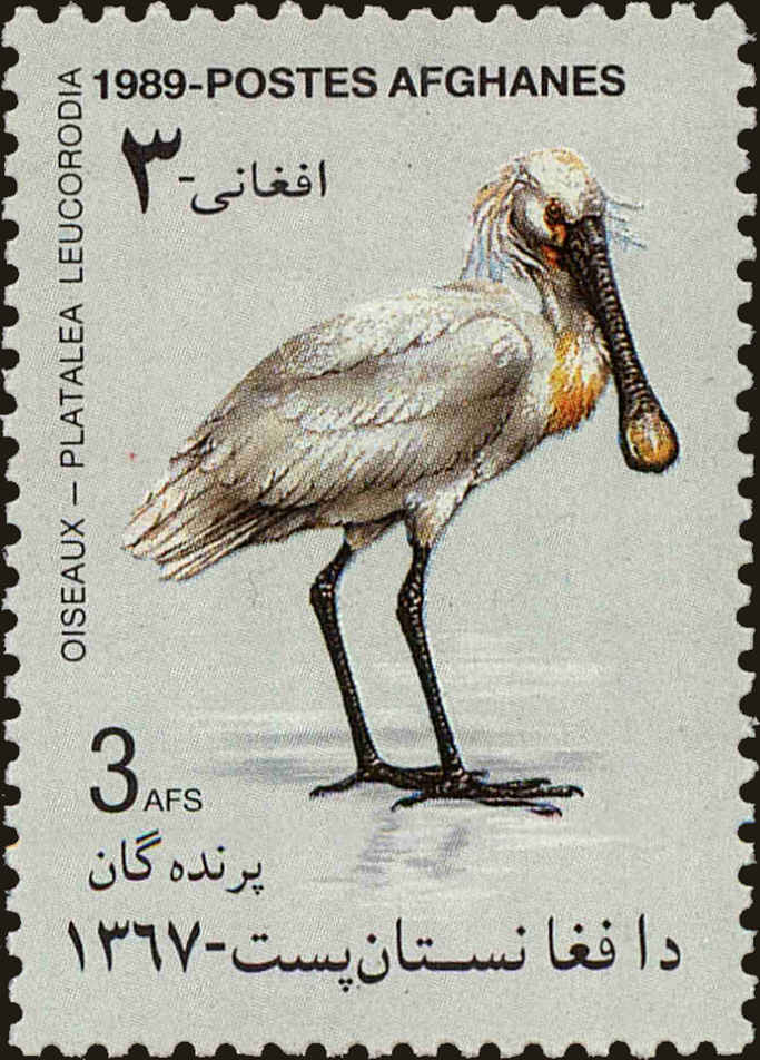 Front view of Afghanistan 1373 collectors stamp