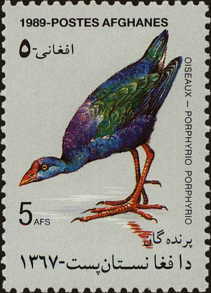 Front view of Afghanistan 1374 collectors stamp