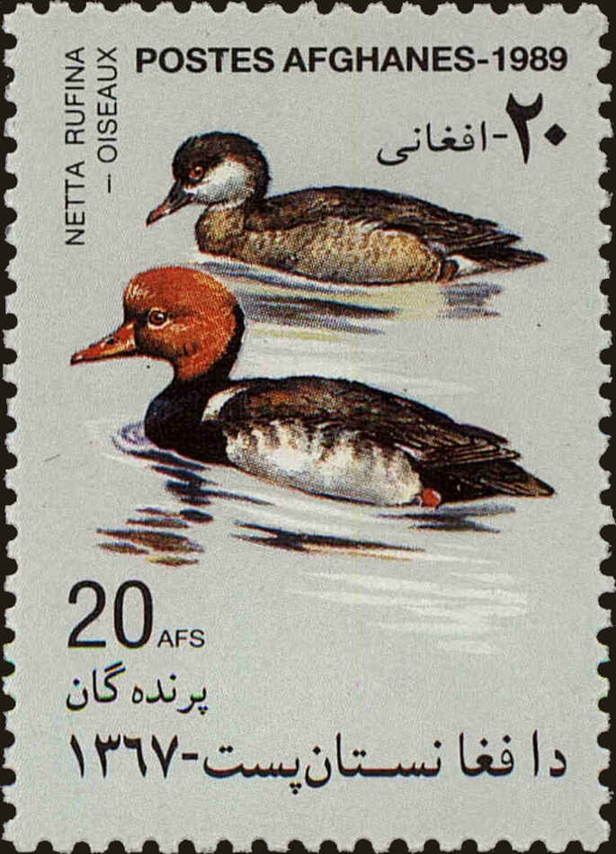 Front view of Afghanistan 1377 collectors stamp