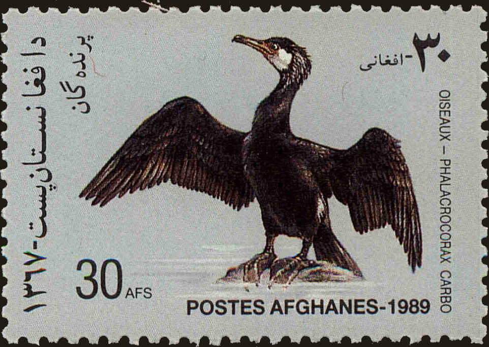Front view of Afghanistan 1379 collectors stamp
