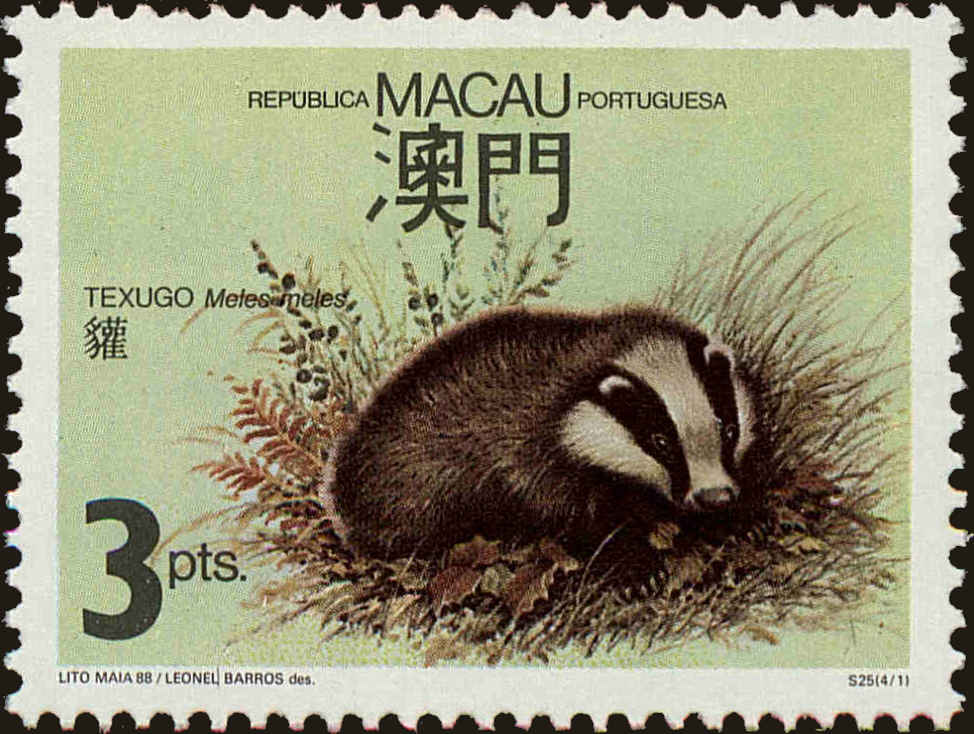 Front view of Macao 562 collectors stamp