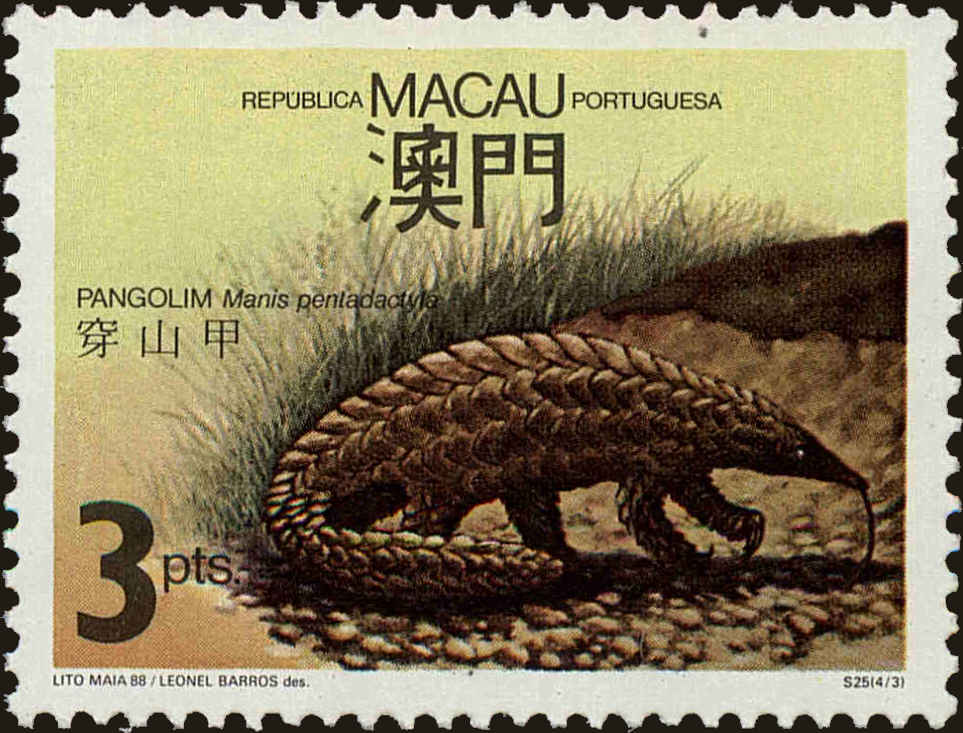 Front view of Macao 564 collectors stamp
