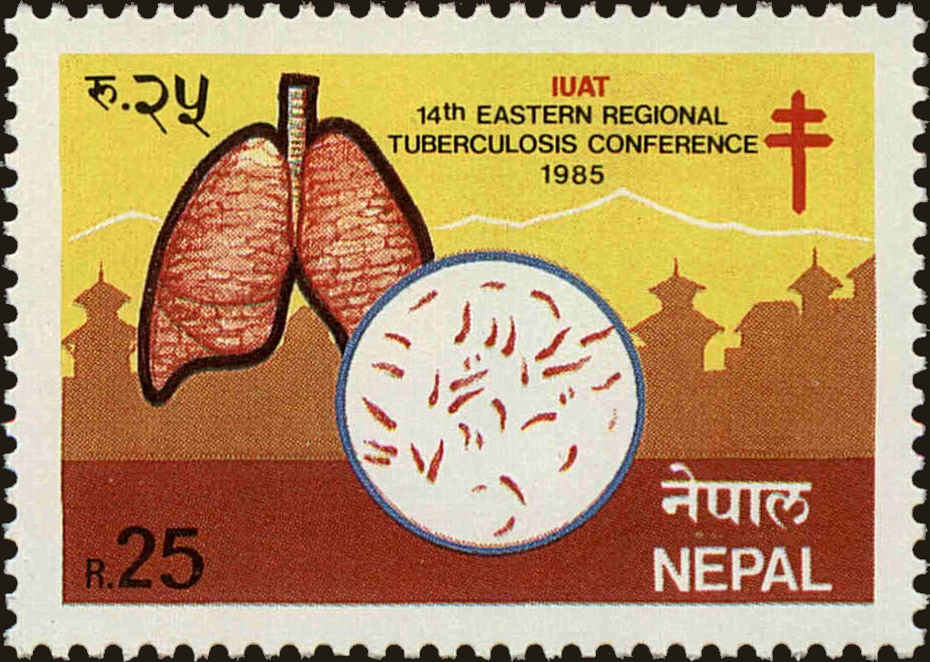 Front view of Nepal 435 collectors stamp