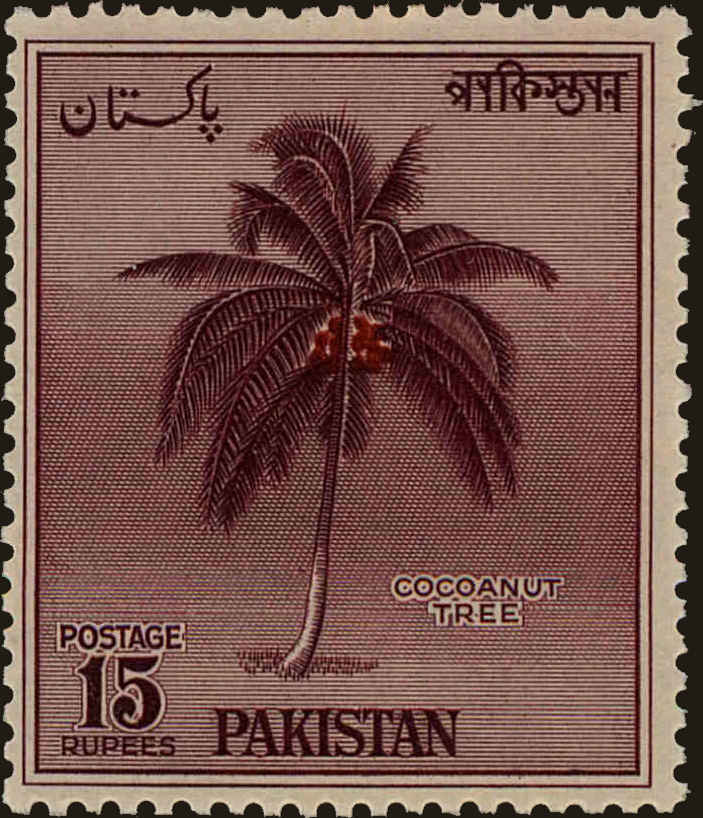 Front view of Pakistan 95 collectors stamp