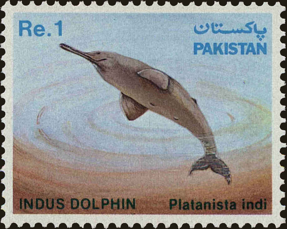 Front view of Pakistan 569 collectors stamp