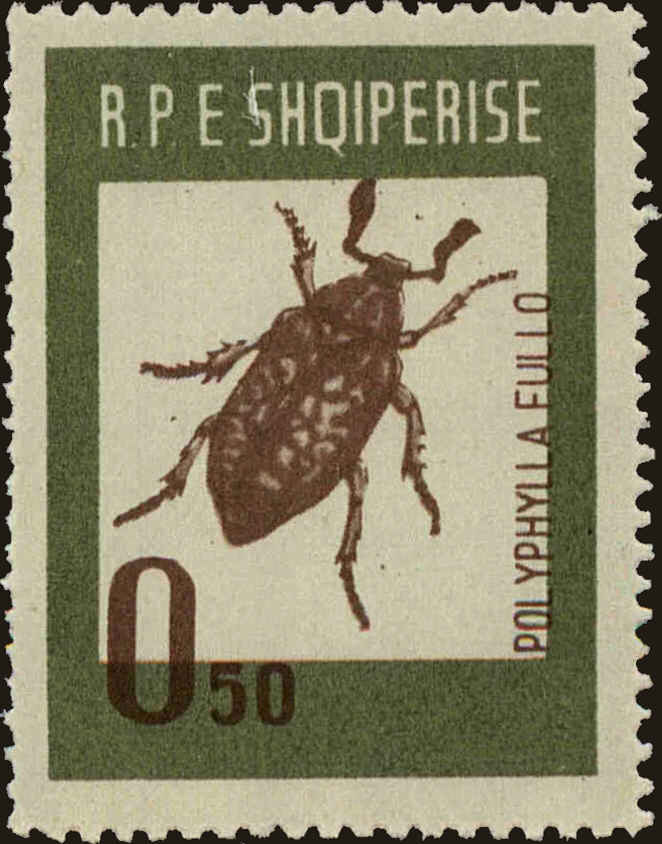 Front view of Albania 660 collectors stamp